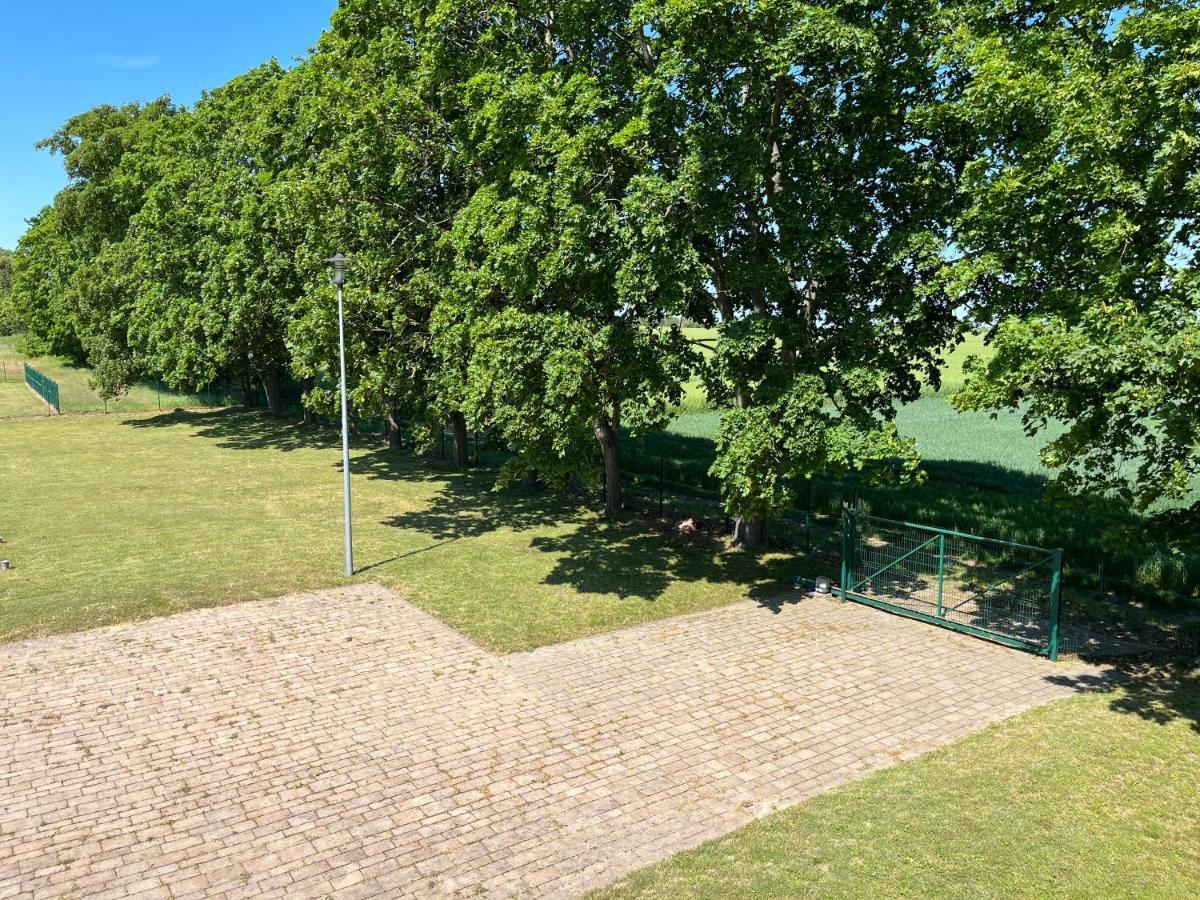 Auberge de jeunesse Osrodek Konferencyjno-Wypoczynkowy à Chojna Extérieur photo