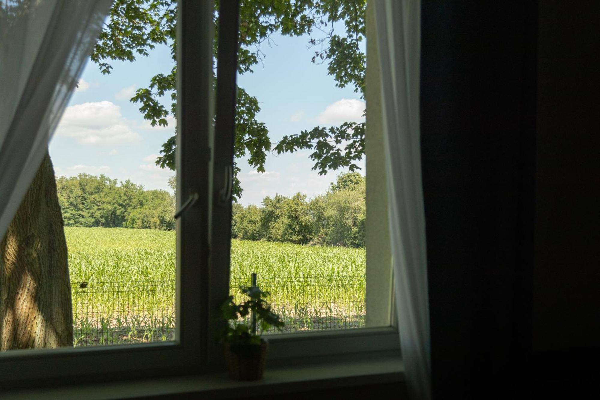 Auberge de jeunesse Osrodek Konferencyjno-Wypoczynkowy à Chojna Extérieur photo
